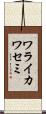 ワライカワセミ Scroll
