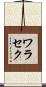 ワラセク Scroll