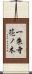 一乗寺花ノ木 Scroll