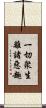一切衆生離諸惡趣 Scroll