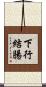 下行結腸 Scroll
