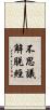 不思議解脫經 Scroll