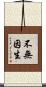 不無因生 Scroll