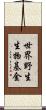 世界野生生物基金 Scroll