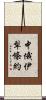 中俄伊犁條約 Scroll
