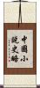 中國小說史略 Scroll