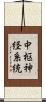 中枢神経系統 Scroll