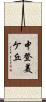 中登美ケ丘 Scroll