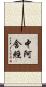 中阿含經 Scroll