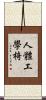 人體工學椅 Scroll