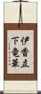 伊香立下竜華 Scroll