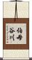 伯母谷川 Scroll