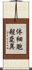 体細胞超変異 Scroll