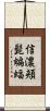 信濃頬髭蝙蝠 Scroll