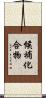 候補化合物 Scroll