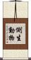 側生動物 Scroll