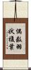 偶数羽状複葉 Scroll