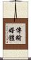 傳輸媒體 Scroll