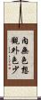 內無色想觀外色少 Scroll