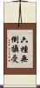 六種無倒攝受 Scroll