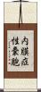 内膜症性嚢胞 Scroll