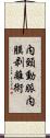 内頸動脈内膜剥離術 Scroll