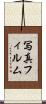 写真フィルム Scroll