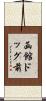 函館ドッグ前 Scroll