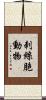 刺絲胞動物 Scroll