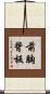 前胸背板 Scroll