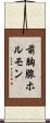 前胸腺ホルモン Scroll