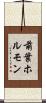 前葉ホルモン Scroll