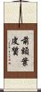 前額葉皮質 Scroll