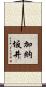 加納坂井 Scroll