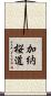 加納桜道 Scroll