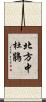 北方中杜鵑 Scroll