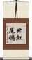 北紅尾鴝 Scroll