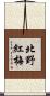 北野紅梅 Scroll