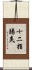 十二指腸炎 Scroll