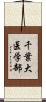 千葉大医学部 Scroll