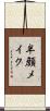 半顔メイク Scroll