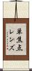 単焦点レンズ Scroll