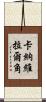 卡納維拉爾角 Scroll