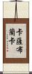 卡薩布蘭卡 Scroll