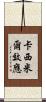 卡西米爾效應 Scroll