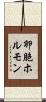 卵胞ホルモン Scroll