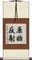 原始反射 Scroll