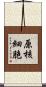 原核細胞 Scroll