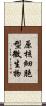 原核細胞型微生物 Scroll
