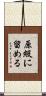 原級に留める Scroll